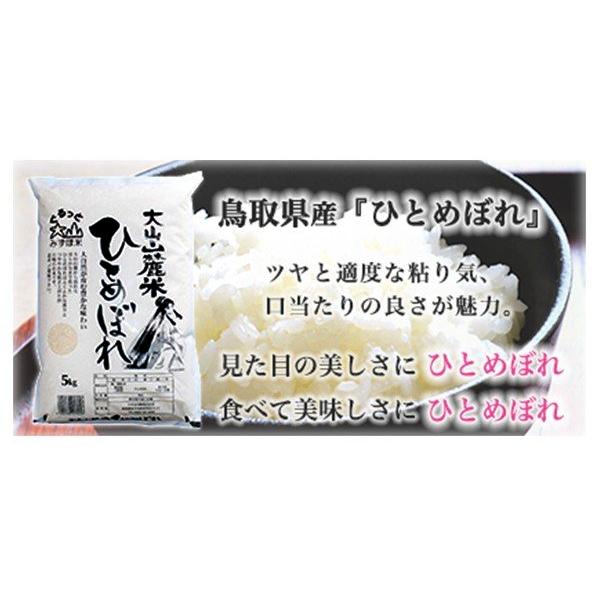 米 新米 5年 ひとめぼれ 5kg 送料無料 （北海道・沖縄・離島地域除く） 鳥取県産 大山山麓米