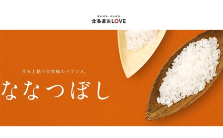 北海道 定期便 3ヵ月連続3回 令和5年産 ななつぼし 無洗米 4.5kg×2袋 特A 米 白米 ご飯 お米 ごはん 国産 ブランド米 時短 便利 常温 お取り寄せ 産地直送 送料無料