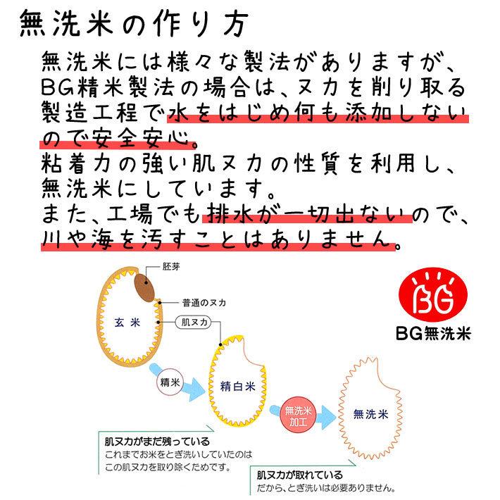 米 2023年度 令和5年度産 5kg 無洗米 雪若丸 山形県産 BG無洗米 東北食糧 送料無料