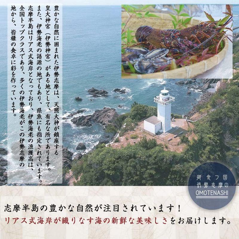 伊勢海老 伊勢志摩産 活き 伊勢エビ 刺身 産地直送 天然 伊勢えび 三重県産 伊勢志摩直送 《約500g 2尾》 お歳暮 ギフト