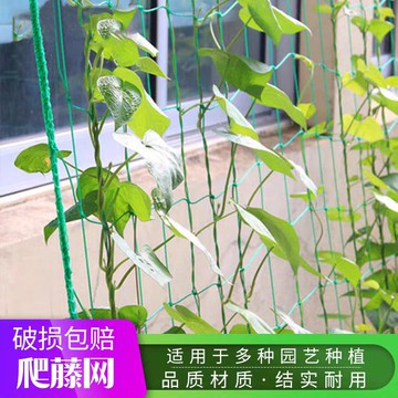 爬藤網種植網攀爬加粗家用農用園藝黃瓜絲瓜庭院網繩種植葡萄