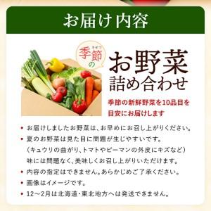 ふるさと納税 野菜セット 加西市産 季節の野菜詰め合わせセット 季節の野菜10品程度 兵庫県加西市