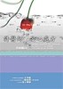 許醫師安心處方[二手書_良好]