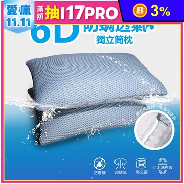 6D 可水洗獨立筒枕