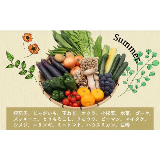 ふるさと納税 長崎県 雲仙市 定期便 12回コース 贅沢 野菜 セット どっさり 16品目以上 季節の野菜 フルーツ キノコ 詰め合わせ   吉岡青果   長崎県 雲仙市[i…