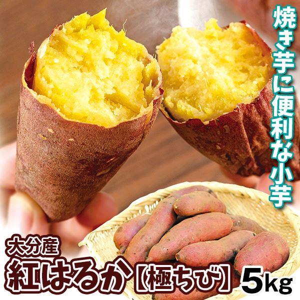 さつまいも 5kg 大分産 紅はるか ご家庭用 送料無料 食品