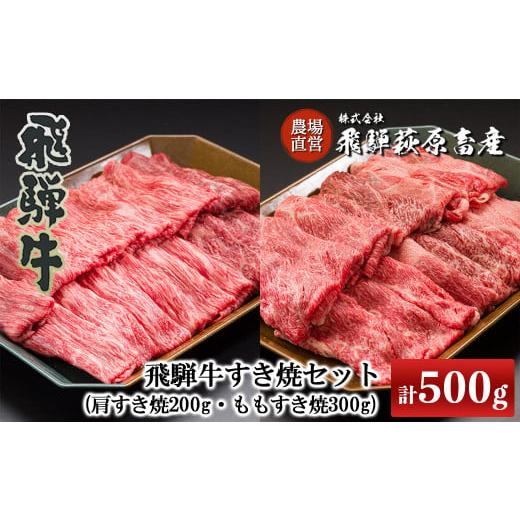 ふるさと納税 岐阜県 下呂市 飛騨牛すき焼セット (肩すき焼 200g  ももすき焼 300g) すき焼き すき焼き用 おすすめ 牛肉 国産 ブランド牛 【冷凍…