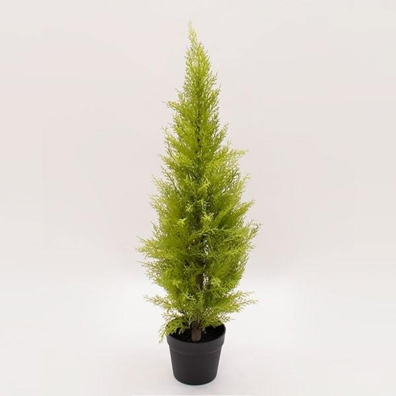 フェイクグリーン 観葉植物 とりよせ品 花びし メーカー直送品 ゴールドクレストポット S 90cm 代引決済 他商品との同梱不可 グリーン 通販 Lineポイント最大0 5 Get Lineショッピング