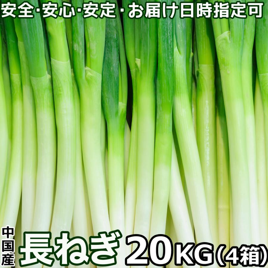 長ねぎ 20kg ＜5キロ×4箱＞業務用 中国産 箱売 使いやすい太い長葱 コスパ最強ねぎ まとめ買いがお得 安心供給 安定品質 ＜安心の国内検品＞＜クール便送料込＞