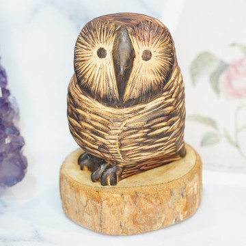 龍柏草鴞木雕貓頭鷹owl-郭國慶原創