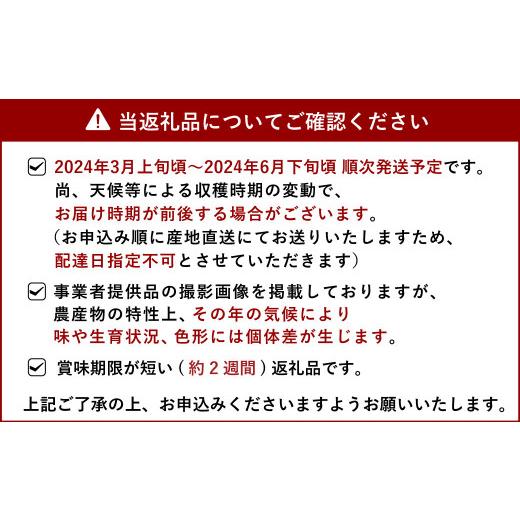 ふるさと納税 熊本県 宇城市 宇城市産 不知火・デコポン 約5kg（15〜16玉）