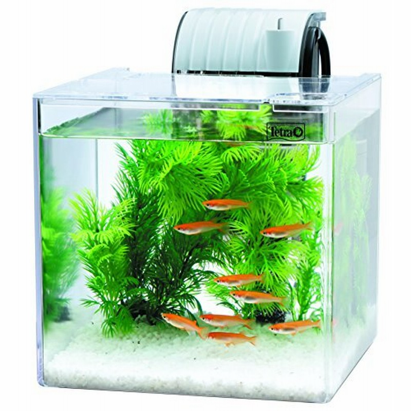 テトラ Tetra テトラ 静かなメダカ飼育セット Sf 17kf 通販 Lineポイント最大1 0 Get Lineショッピング