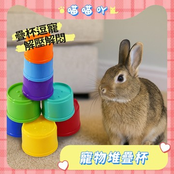 兔子玩具 兔兔玩具 兔玩具 疊疊杯玩具 兔子訓練 解悶玩具 寵物互動玩具 小寵玩具 小寵疊杯玩具 小寵疊疊杯