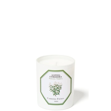 Carrière Frères Aloysia Citrodora - Verbena 6.5 oz