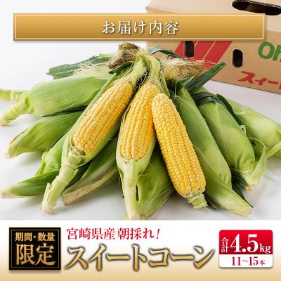 ふるさと納税 宮崎県 ◆朝採れスイートコーン (合計約4.5kg) 宮崎県産