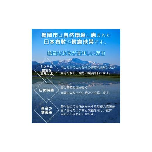 ふるさと納税 山形県 鶴岡市 令和5年産 特別栽培米 つや姫 無洗米 10kg×3回(計30kg)  山形県庄内産　有限会社 阿部ベイコク