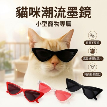 【台灣現貨】 三角貓咪裝扮眼鏡 寵物眼鏡 寵物墨鏡 寵物裝飾品 IG寵物拍照配件