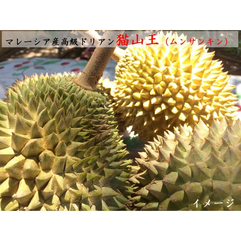 ドリアン 猫山王 榴蓮 durian マレーシア産 冷凍300g×5パック