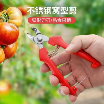 廠家直售 不鏽鋼窩型摘果剪番茄蘋果專用剪橘子採摘剪水果果柄凹形修枝剪刀  3・7