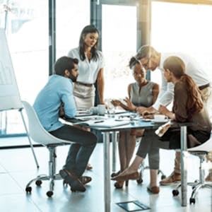 Capstone Project: Applying Business Analysis Skills