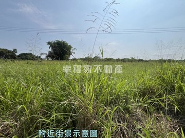 白河大路邊大面寬都內農地｜台南市白河區武聖路