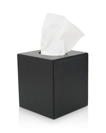 Royce New York Leather Tissue Box Holder