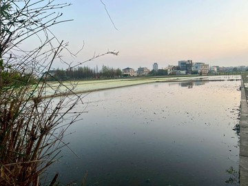 近台一線替代道路-大面寬方正美田｜新竹縣竹北市溝貝