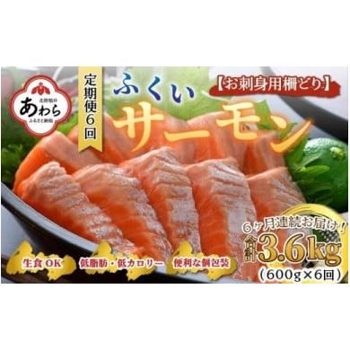 ふるさと納税 福井県 あわら市 《定期便6回》ふくいサーモン 柵どり 150g×4パック 計600g ＜鮮度抜群！真空冷凍＞ ／ 生食OK 刺身 鮭 国産 ※202…