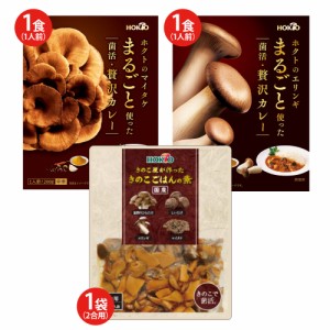 1000円ポッキリ 1000円お試しセット (3種3品) 送料無料 レトルト食品 きのこカレー 炊き込みご飯の素 2合