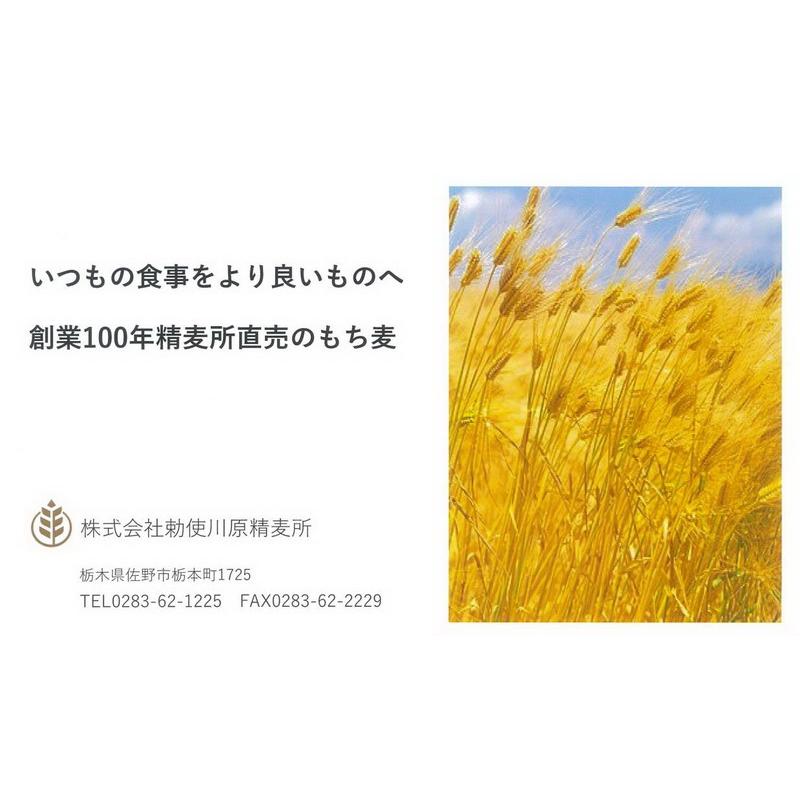 栃木県産もち麦 もち絹香 500ｇ 食物繊維たっぷり冷めても美味しい国産100%のもち麦!炊飯後に変色しにくく、大麦特有の臭い控えめ、もち麦の欠点を大きく改善