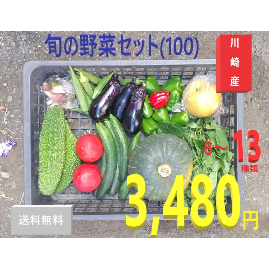 旬の野菜セット100（たっぷり8〜13種）