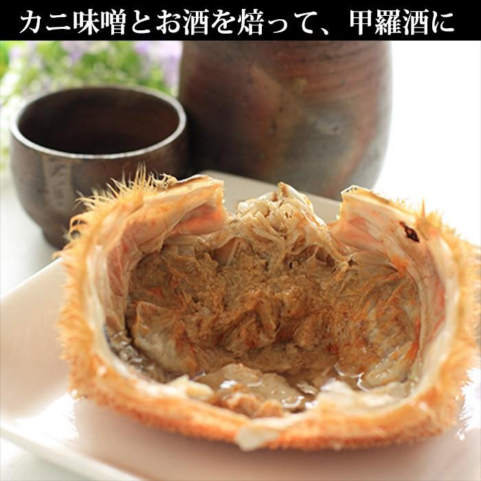 御歳暮 北海道 毛蟹 500g カニ ギフト かに 姿 蟹 ボイル 毛ガニ 海鮮 お土産 海産物