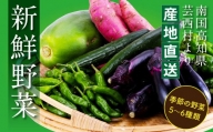 朝どれ！ 野菜詰合せ／芸西村で採れた新鮮な野菜6～8種類をお届けします。特産品 ピーマン ナス こだわりの栽培方法 環境に優しい 安全で安心な野菜づくり  支援品