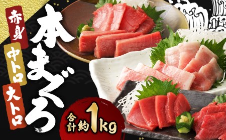 長崎県産 本マグロ3種盛り「大トロ・中トロ・赤身」約1kg