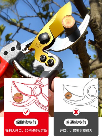 園藝剪枝剪刀修枝剪粗枝剪園林花藝剪子修剪樹枝專用省力剪切工具