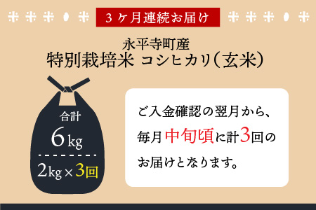  令和5年度産 永平寺町産 農薬不使用・化学肥料不使用 特別栽培米 コシヒカリ 2kg×3ヶ月（計6kg） [C-033076]