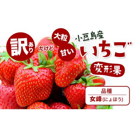 ふるさと納税 ＜訳あり・大粒＞小豆島産　変形果いちご　1.4kg 香川県土庄町