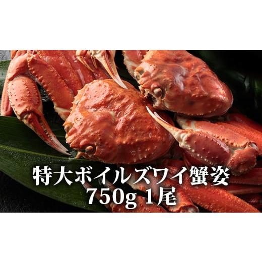 ふるさと納税 大阪府 泉大津市 蟹味噌！垂涎の的！特大ボイルズワイ蟹姿 750g 1尾 [1616]