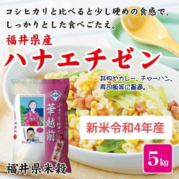 お米 米 新米 令和5年産５Kg 福井県産 華越前 ハナエチゼン 福井県米穀