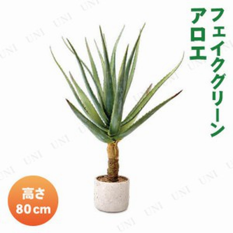 取寄品 フェイクグリーン アロエ 人工観葉植物 多肉植物 インテリアグリーン 通販 Lineポイント最大1 0 Get Lineショッピング