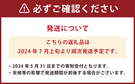 熊本県産シャインマスカット 4房