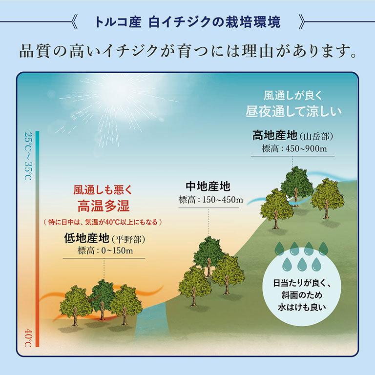 戸倉商事 無添加 ドライいちじく 白 トルコ産 砂糖不使用 無漂白 1kg