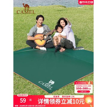 駱駝戶外地席帳篷露營地墊加厚防水耐磨野餐墊牛津布防潮擺攤地布