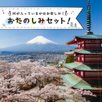 2024年発送山梨県産 シャインマスカット2房 (1.2kg以上)