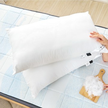 ELVIS 愛菲斯 ┃羽絲絨枕芯-清大