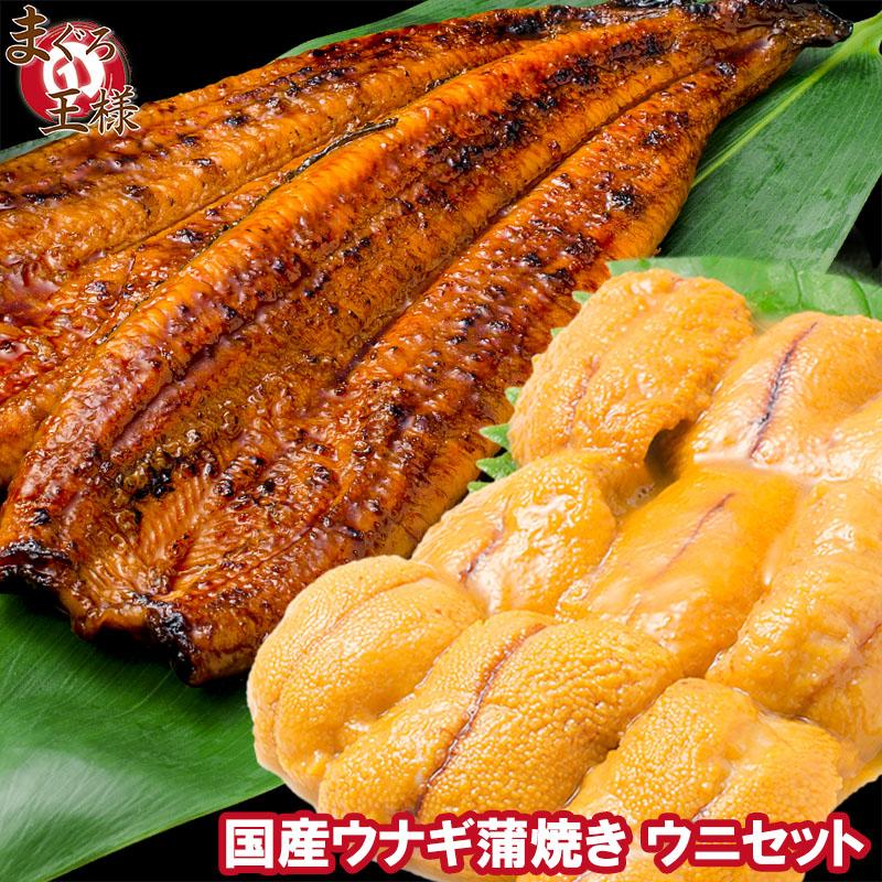 うにうなぎセット ＜竹＞ 特大国産うなぎ蒲焼き 平均165g前後×2尾 生ウニ 100g タレ付き 柔らかうなぎと生ウニの贅沢セット