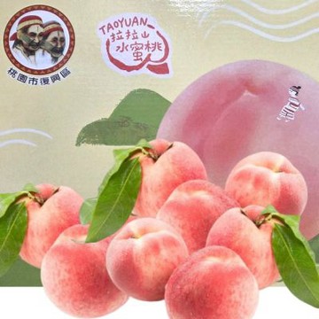 桃園復興鄉 拉拉山水蜜桃禮盒/10粒裝