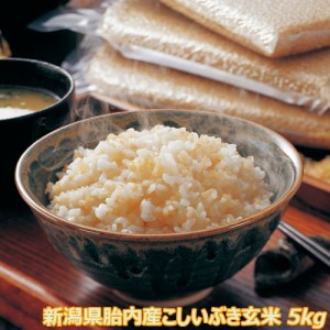 令和5年産 新潟産こしいぶき 5kg 玄米 食味Ａランク 農薬節減（7割減） 有機肥料栽培米・残留農薬ゼロ（検査済） 一等級