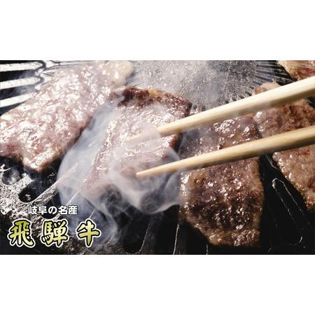 ふるさと納税 牛肉 飛騨牛 焼き肉 セット ロース 又は 肩ロース 600g 黒毛和牛 A5 美味しい お肉 牛 肉 和牛 焼肉 BBQ バーベキュー  【岐阜県.. 岐阜県揖斐川町