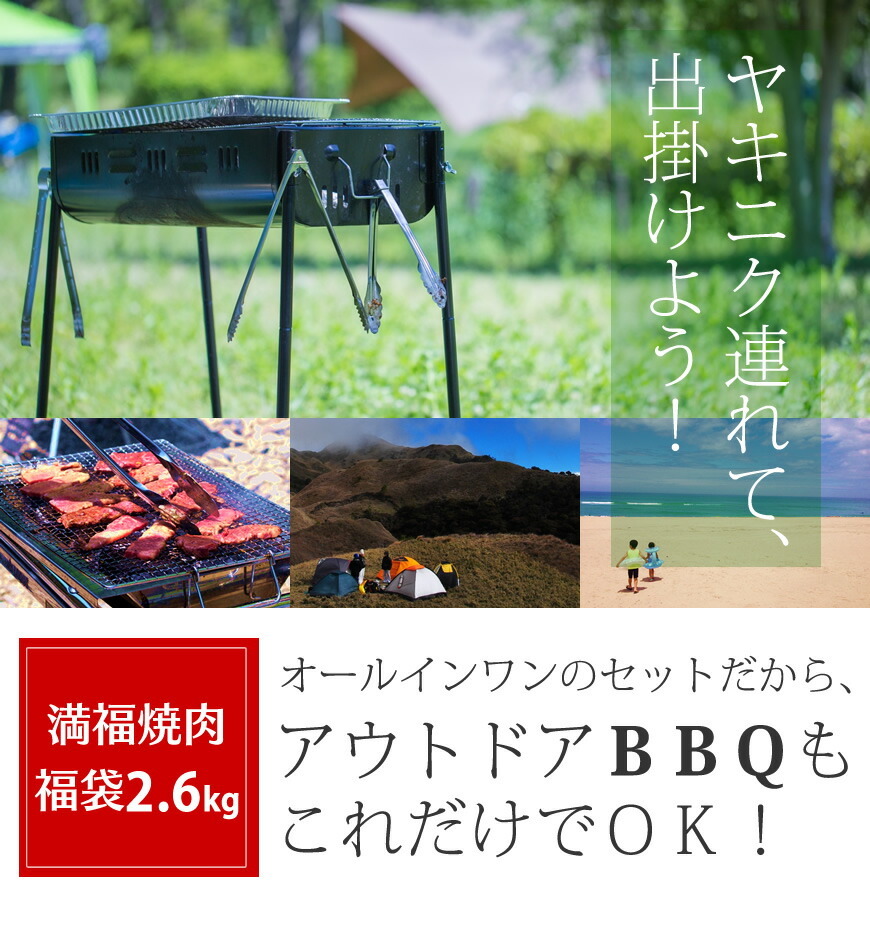 メガ盛り 焼肉BBQセット2.6Kg (10〜12人向け)   お祝い お歳暮 ギフト お取り寄せグルメ 焼肉 バーベキュー キャンプ アウトドア 大容量